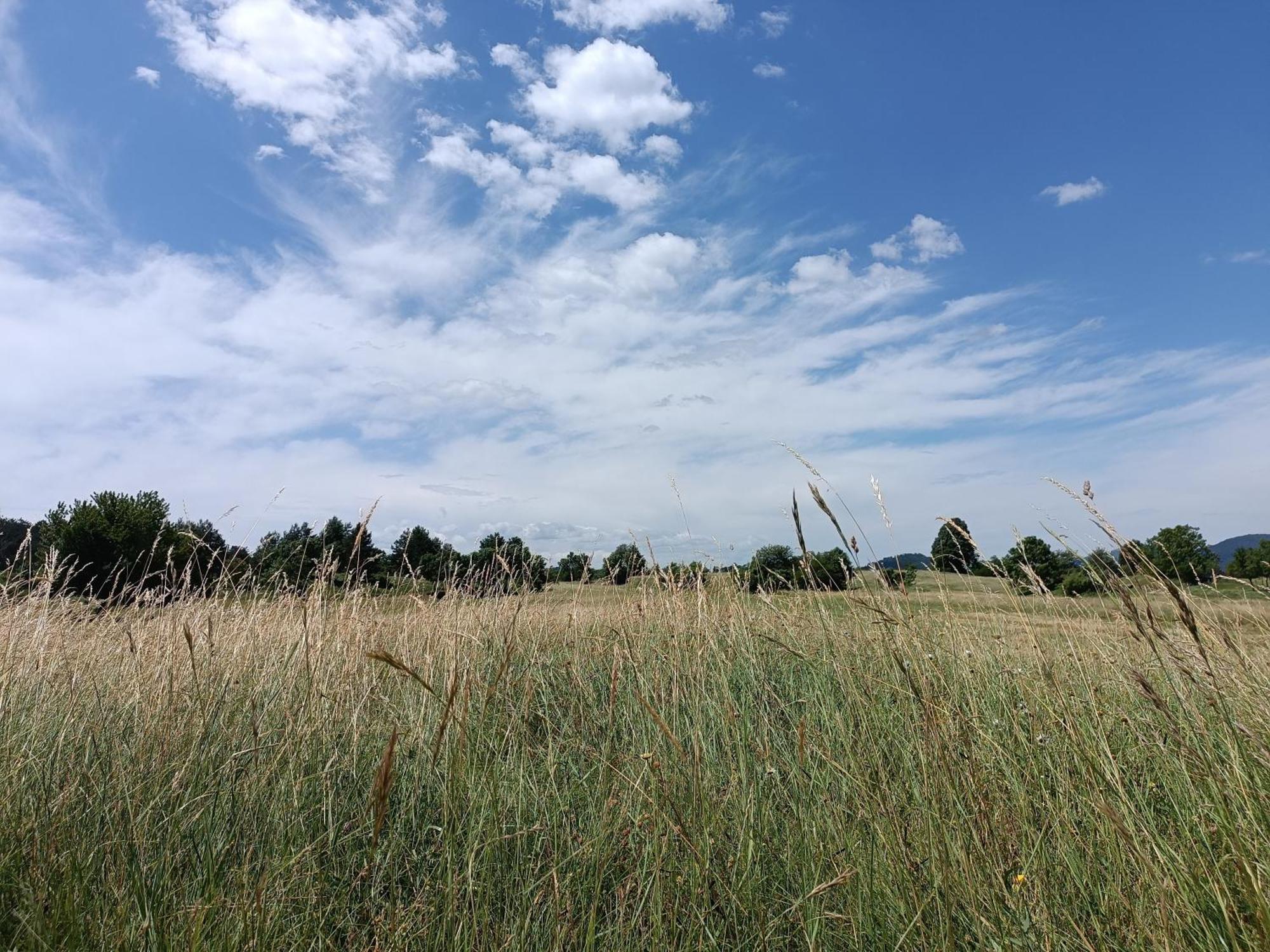 Apartma Mihatovi Pivka Buitenkant foto